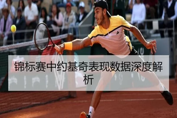 锦标赛中约基奇表现数据深度解析